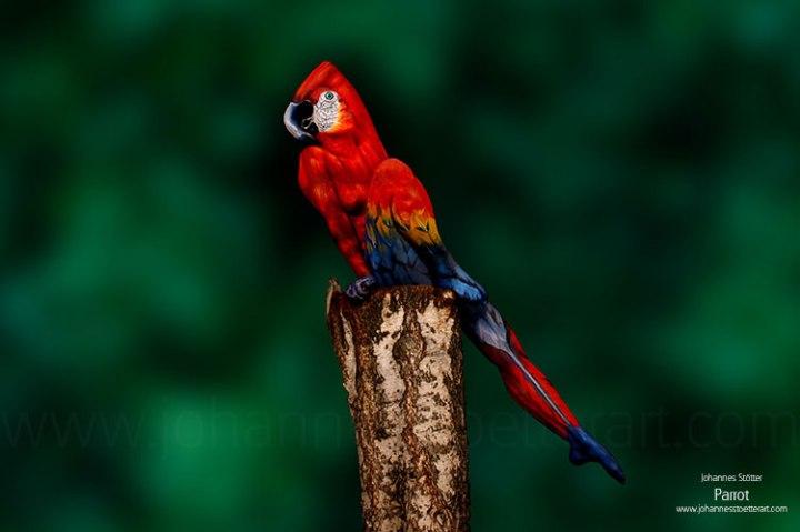 Johannes Stötter's parrot bodypainting